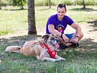 Adoptuj Warszawiaka  Wydarzenie promujące adopcję zwierząt. Organizator: Schronisko dla Bezdomnych Zwierząt "Na Paluchu". 18 sierpnia 2019, Park Raszyński w Raszynie. : park raszyński, adoptuj warszawiaka, na paluchu, schronisko dla zwierząt, centrum warszawy, raszyn